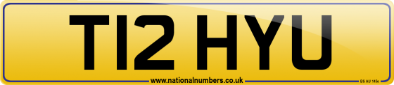 T12 HYU