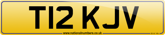 T12 KJV