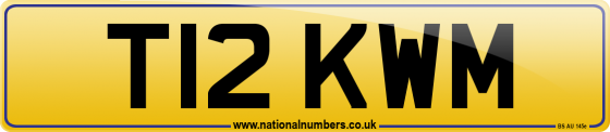 T12 KWM