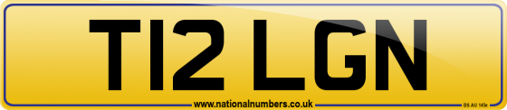 T12 LGN
