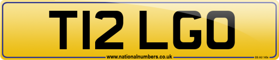 T12 LGO