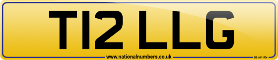 T12 LLG