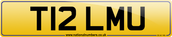 T12 LMU