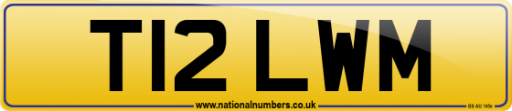 T12 LWM
