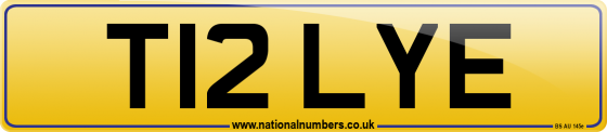 T12 LYE