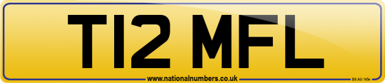 T12 MFL