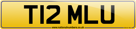 T12 MLU