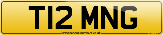 T12 MNG