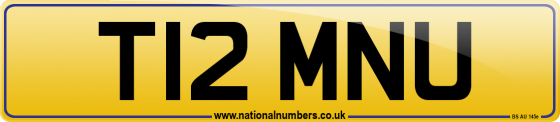 T12 MNU