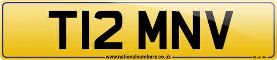 T12 MNV