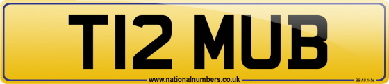 T12 MUB