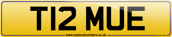 T12 MUE