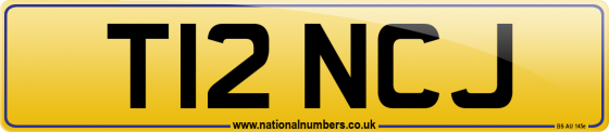 T12 NCJ