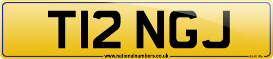 T12 NGJ