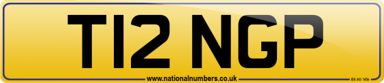 T12 NGP