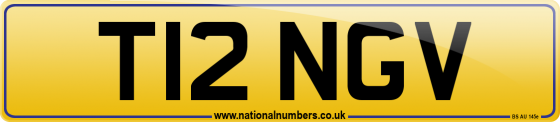 T12 NGV