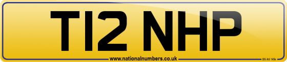 T12 NHP
