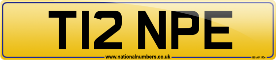T12 NPE