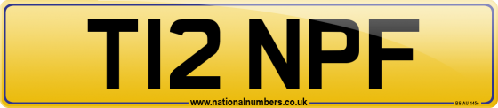 T12 NPF
