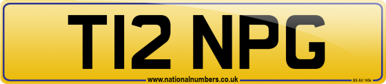 T12 NPG