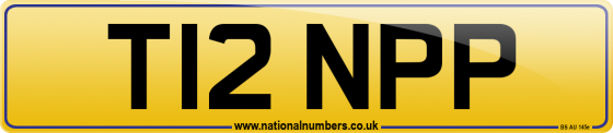 T12 NPP