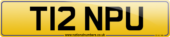 T12 NPU
