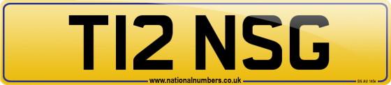 T12 NSG