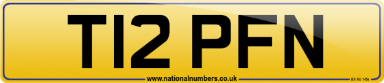 T12 PFN