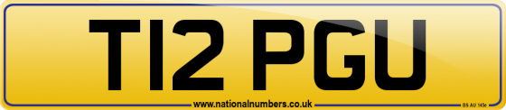 T12 PGU