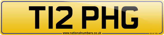 T12 PHG