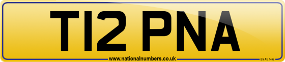 T12 PNA