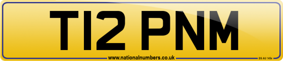 T12 PNM