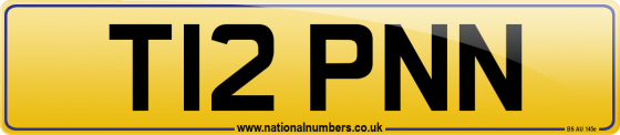 T12 PNN