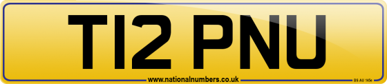 T12 PNU