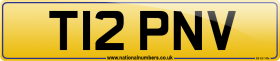 T12 PNV