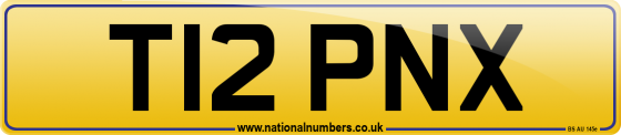 T12 PNX