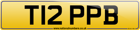 T12 PPB