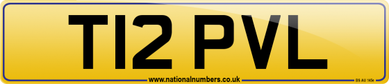 T12 PVL