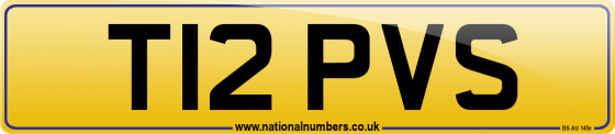 T12 PVS