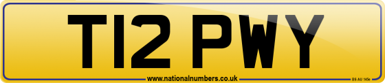 T12 PWY