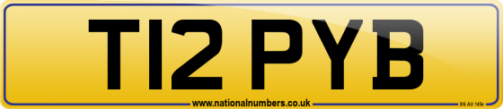 T12 PYB