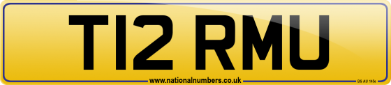 T12 RMU