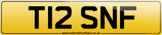 T12 SNF