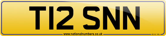T12 SNN