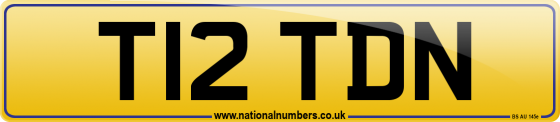 T12 TDN