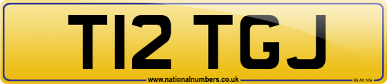 T12 TGJ