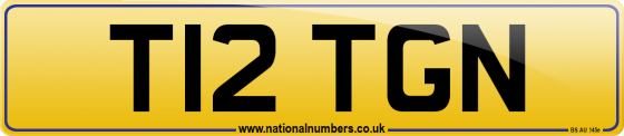 T12 TGN