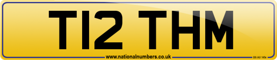 T12 THM