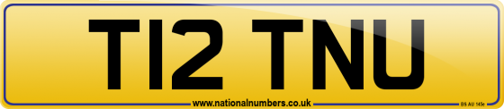 T12 TNU
