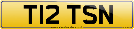 T12 TSN